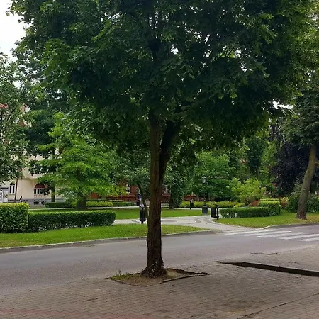 Lägenhet Classic - Location, Bezplatny Parking
